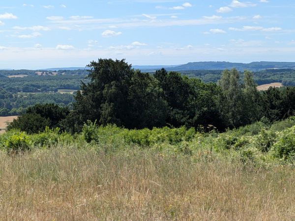 View from Newlands Corner